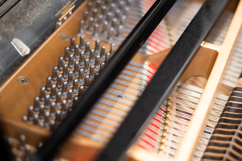 nikon 105mm 1.8 ai ai-s f/1.8 tele fast 1981 1980 reportage press review 42mp sony nikon z 61mp z6 z7 z8 z9 a7riv a7rv contrast sharpness bokeh vignetting