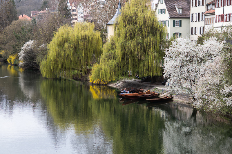 nikon 105mm 1.8 ai ai-s f/1.8 tele fast 1981 1980 reportage press review 42mp sony nikon z 61mp z6 z7 z8 z9 a7riv a7rv contrast sharpness bokeh vignetting