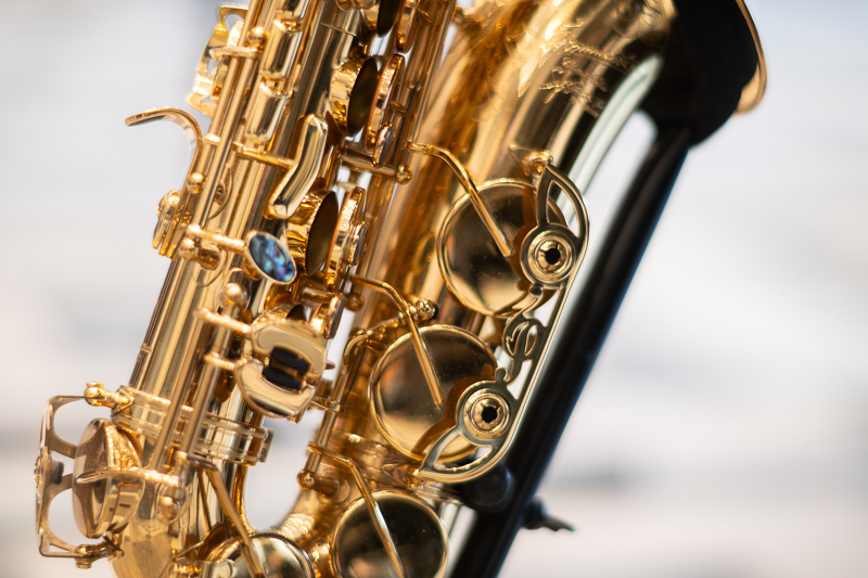 nikon 105mm 1.8 ai ai-s f/1.8 tele fast 1981 1980 reportage press review 42mp sony nikon z 61mp z6 z7 z8 z9 a7riv a7rv contrast sharpness bokeh vignetting