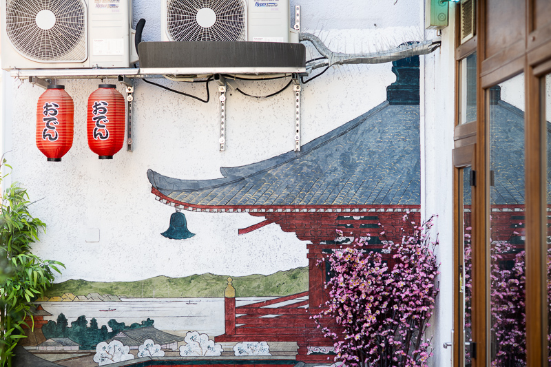 nikon 105mm 1.8 ai ai-s f/1.8 tele fast 1981 1980 reportage press review 42mp sony nikon z 61mp z6 z7 z8 z9 a7riv a7rv contrast sharpness bokeh vignetting