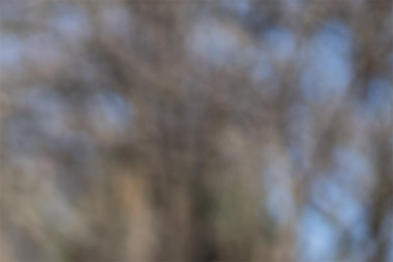thypoch simera 75mm 1.4 fast portrait leica m10 m11 m9 m8 m10r review 42mp 24mp 61mp contrast sharpness bokeh vignetting