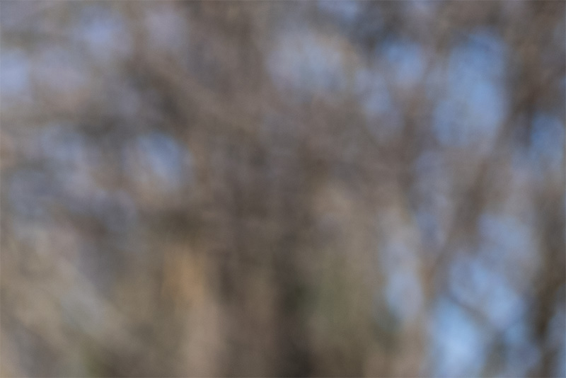 thypoch simera 75mm 1.4 fast portrait leica m10 m11 m9 m8 m10r review 42mp 24mp 61mp contrast sharpness bokeh vignetting