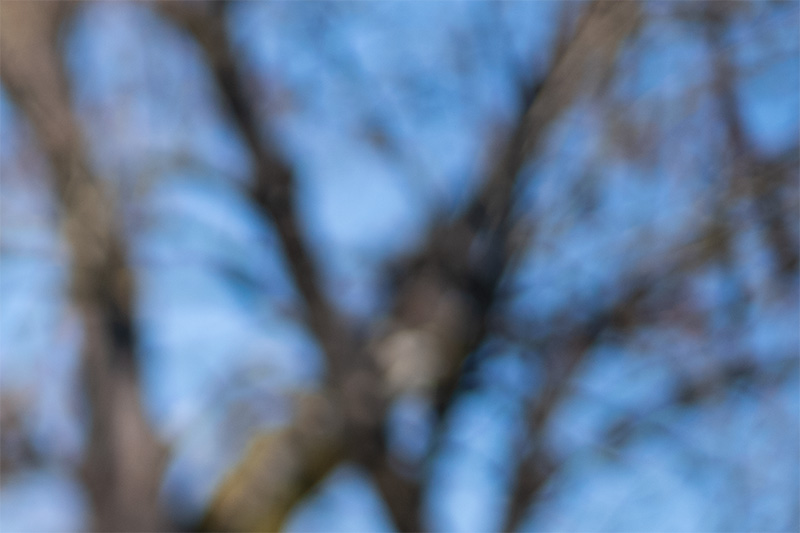 thypoch simera 75mm 1.4 fast portrait leica m10 m11 m9 m8 m10r review 42mp 24mp 61mp contrast sharpness bokeh vignetting