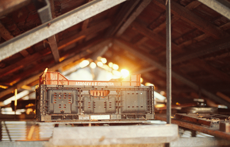 agfa color 400 wolfen nc 400 orwo agfa iso400 asa review nikon f80 f100 f5 f6 analogue film ecn-2