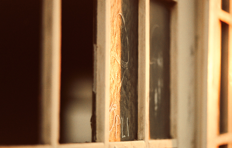 agfa color 400 wolfen nc 400 orwo agfa iso400 asa review nikon f80 f100 f5 f6 analogue film ecn-2