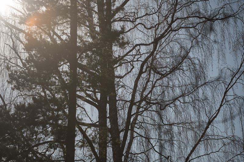Flare|AFS Nikkor 70-200/4G ED VR|@200mm|F4
