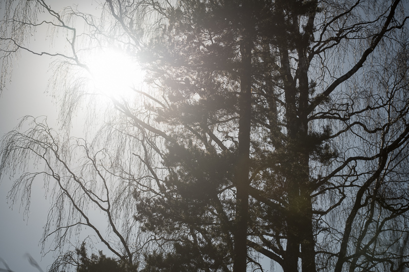Flare|AFS Nikkor 70-200/4G ED VR|@200mm|F4
