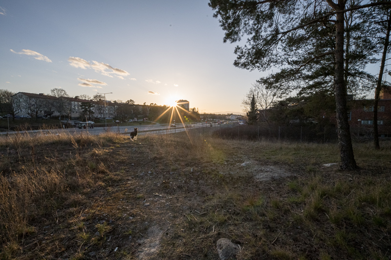 Flare Laowa 15mm f/4.5 Macro 0.5x @F/16