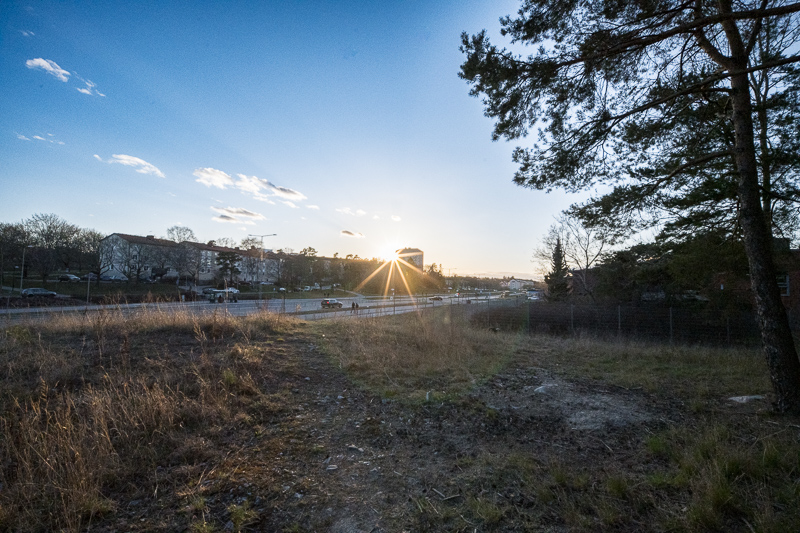 Flare Laowa 15mm f/4.5 Macro 0.5x @F/16
