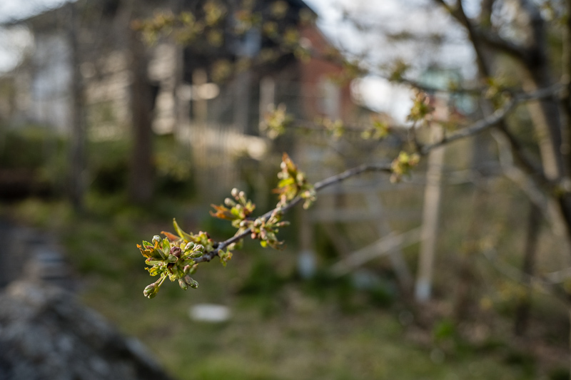 Nikon Z7ii| Nikon Z 24-120/4 S | @45mm f/4