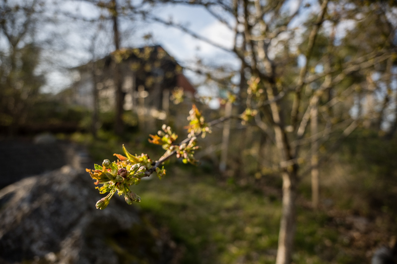 Nikon Z7ii| Nikon Z 24-120/4 S | @24mm f/4