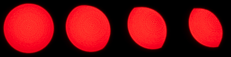 irix 45mm 1.4 dragonfly firefly blackstone south korea 42mp 61mp 24mp z6 z7 z8 z9 a7iv a7v a7riv a7riii a7r2 a7 a9 a1 review contrast resolution bokeh vignetting coma ca loca sunstars distortion