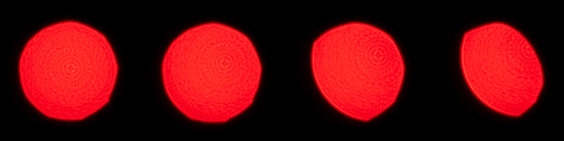 irix 45mm 1.4 dragonfly firefly blackstone south korea 42mp 61mp 24mp z6 z7 z8 z9 a7iv a7v a7riv a7riii a7r2 a7 a9 a1 review contrast resolution bokeh vignetting coma ca loca sunstars distortion