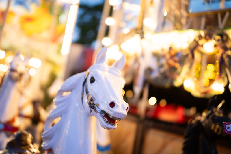 irix 45mm 1.4 dragonfly firefly blackstone south korea 42mp 61mp 24mp z6 z7 z8 z9 a7iv a7v a7riv a7riii a7r2 a7 a9 a1 review contrast resolution bokeh vignetting coma ca loca sunstars distortion