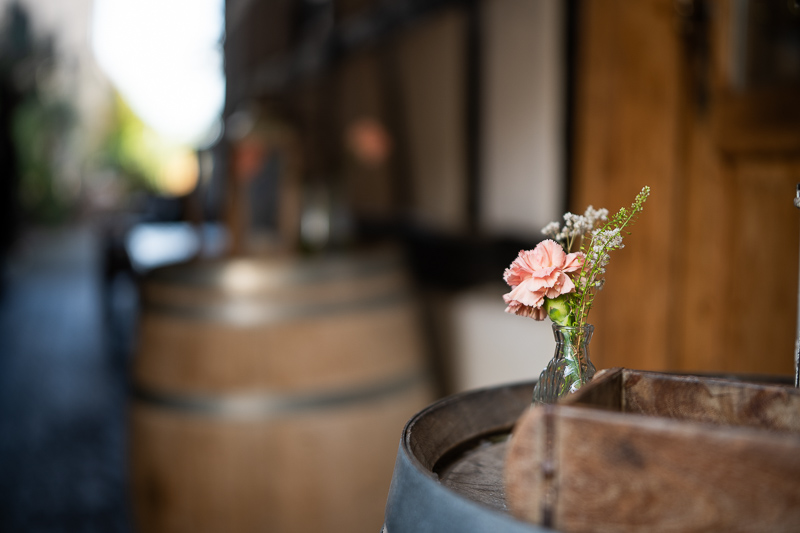 irix 45mm 1.4 dragonfly firefly blackstone south korea 42mp 61mp 24mp z6 z7 z8 z9 a7iv a7v a7riv a7riii a7r2 a7 a9 a1 review contrast resolution bokeh vignetting coma ca loca sunstars distortion