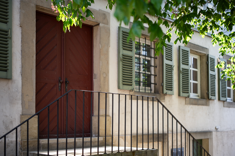 irix 45mm 1.4 dragonfly firefly blackstone south korea 42mp 61mp 24mp z6 z7 z8 z9 a7iv a7v a7riv a7riii a7r2 a7 a9 a1 review contrast resolution bokeh vignetting coma ca loca sunstars distortion