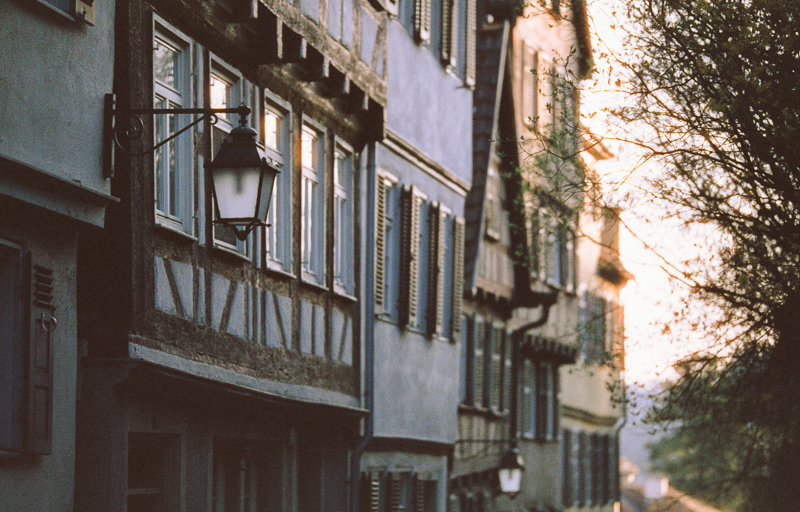 harman phoenix 200 review nikon f analogue film tübingen ecn-2 f80 f100 f5 f6