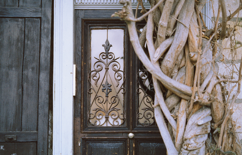 harman phoenix 200 review nikon f analogue film tübingen ecn-2 f80 f100 f5 f6