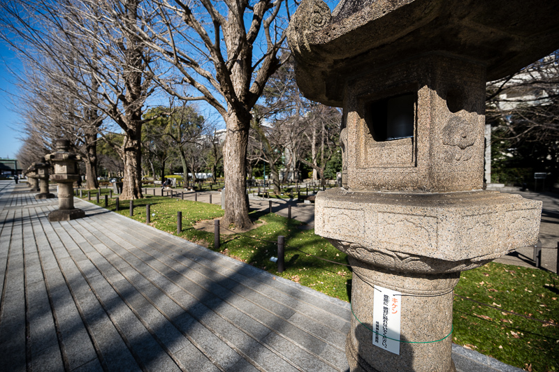 14mm F4