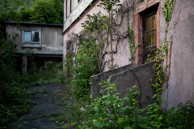 irix 45mm 1.4 dragonfly firefly blackstone south korea 42mp 61mp 24mp z6 z7 z8 z9 a7iv a7v a7riv a7riii a7r2 a7 a9 a1 review contrast resolution bokeh vignetting coma ca loca sunstars distortion