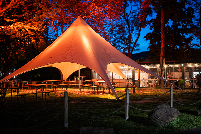 irix 45mm 1.4 dragonfly firefly blackstone south korea 42mp 61mp 24mp z6 z7 z8 z9 a7iv a7v a7riv a7riii a7r2 a7 a9 a1 review contrast resolution bokeh vignetting coma ca loca sunstars distortion