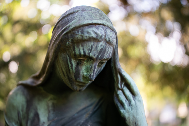 irix 45mm 1.4 dragonfly firefly blackstone south korea 42mp 61mp 24mp z6 z7 z8 z9 a7iv a7v a7riv a7riii a7r2 a7 a9 a1 review contrast resolution bokeh vignetting coma ca loca sunstars distortion