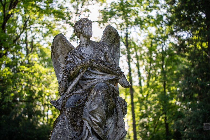 irix 45mm 1.4 dragonfly firefly blackstone south korea 42mp 61mp 24mp z6 z7 z8 z9 a7iv a7v a7riv a7riii a7r2 a7 a9 a1 review contrast resolution bokeh vignetting coma ca loca sunstars distortion