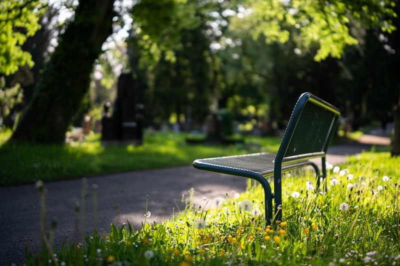 irix 45mm 1.4 dragonfly firefly blackstone south korea 42mp 61mp 24mp z6 z7 z8 z9 a7iv a7v a7riv a7riii a7r2 a7 a9 a1 review contrast resolution bokeh vignetting coma ca loca sunstars distortion