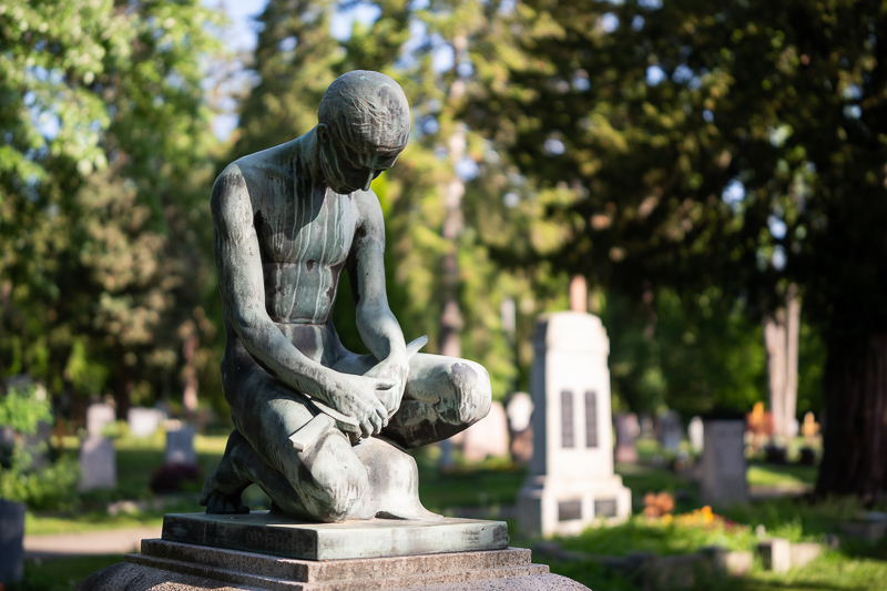 irix 45mm 1.4 dragonfly firefly blackstone south korea 42mp 61mp 24mp z6 z7 z8 z9 a7iv a7v a7riv a7riii a7r2 a7 a9 a1 review contrast resolution bokeh vignetting coma ca loca sunstars distortion