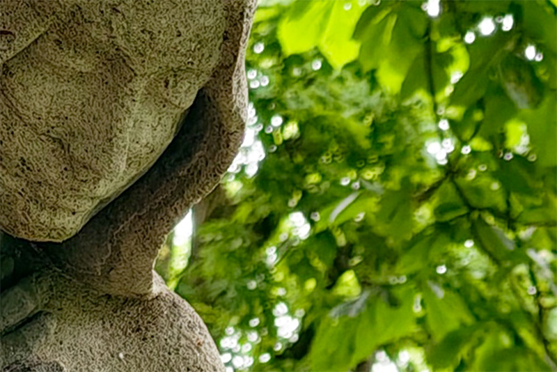 vivo x200 ultra review bokeh sharpness contrast vignetting comparison 50mp 200mp