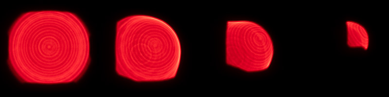 review canon ef 50mm 1.0 l usm 1.0l world's fastest AF autofocus lens contrast resolution 42mp 24mp 61mp analogue contrast bokeh vignetting