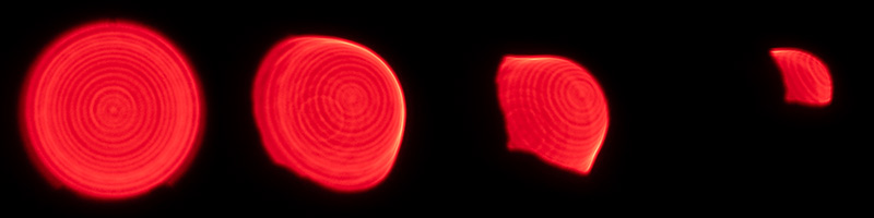 review canon ef 50mm 1.0 l usm 1.0l world's fastest AF autofocus lens contrast resolution 42mp 24mp 61mp analogue contrast bokeh vignetting