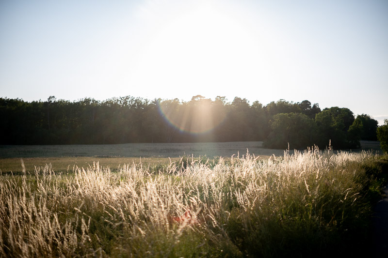 Flares | TTARTISAN 35/1.4 Tilt