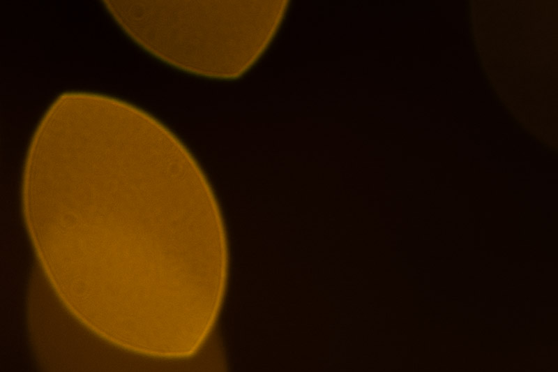 Bokeh balls | TTARTISAN 35/1.4 Tilt | corner