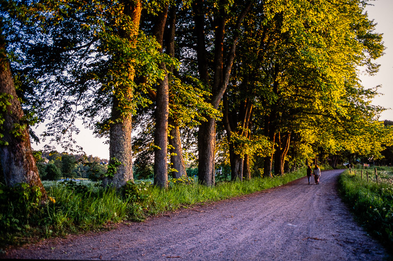 Nikon F-801s | Colour reversal film | Fujichrome Velvia 50