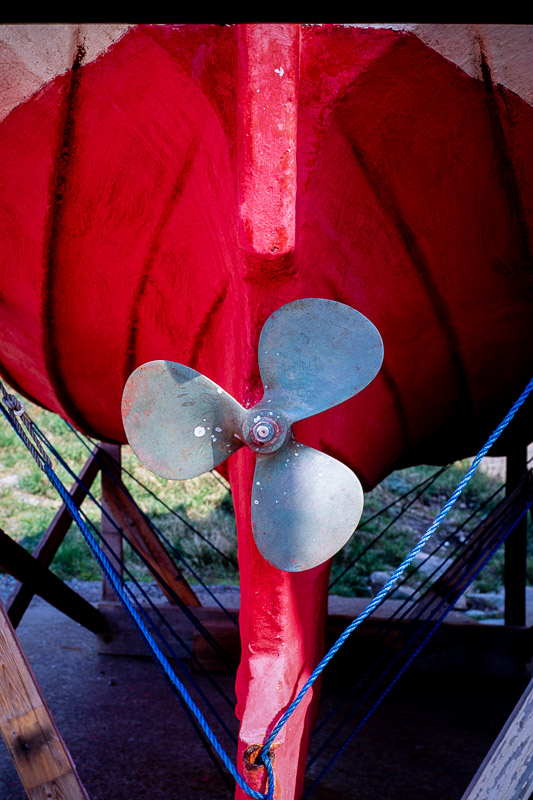 Nikon F-801s | Colour reversal film | Fujichrome Velvia 50