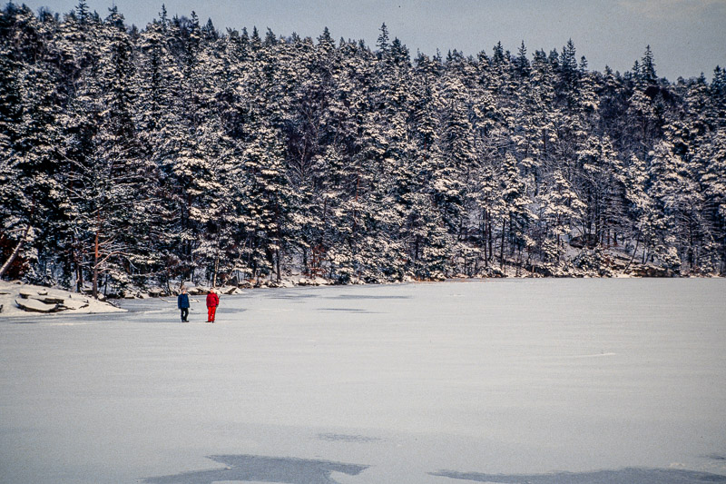 Nikon FE2 | Colour reversal film | Fujichrome Velvia 50