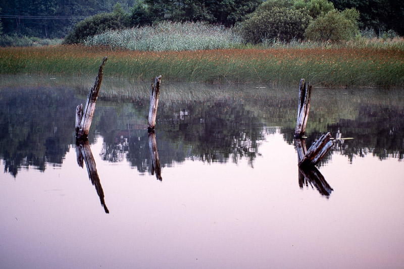 Nikon FE2 | Colour reversal film | Fujichrome Velvia 50