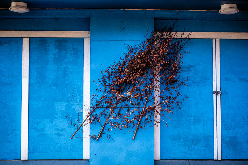 Nikon FE2 | Colour reversal film | Fuji Velvia 50