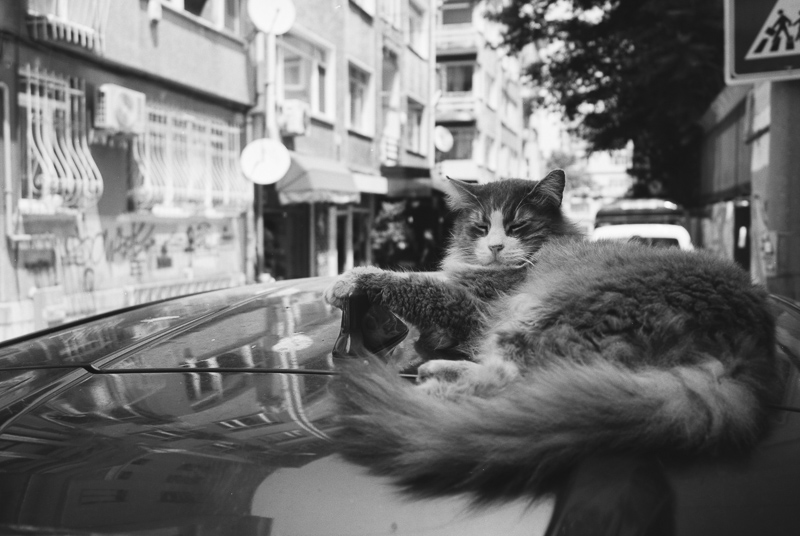 fuji fujifilm neopan acros 100 2 II expired black white bw sw schwarz weiss weiß nikon 35ti