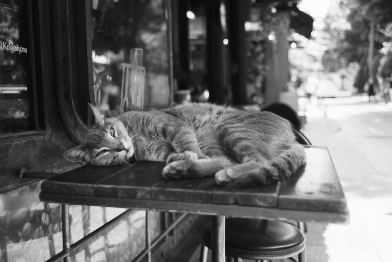 fuji fujifilm neopan acros 100 2 II expired black white bw sw schwarz weiss weiß nikon 35ti