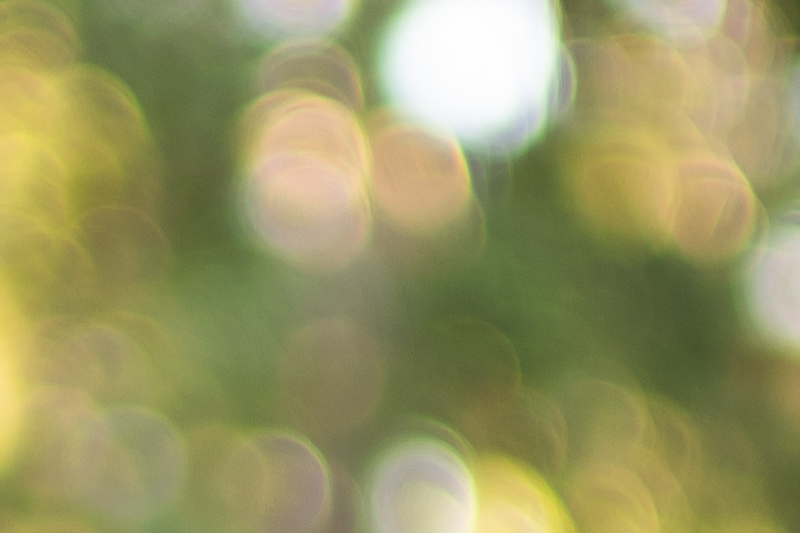 review canon ef 50mm 1.0 l usm 1.0l world's fastest AF autofocus lens contrast resolution 42mp 24mp 61mp analogue contrast bokeh vignetting