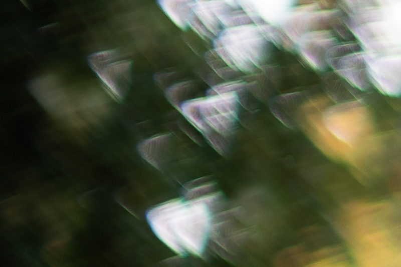 review canon ef 50mm 1.0 l usm 1.0l world's fastest AF autofocus lens contrast resolution 42mp 24mp 61mp analogue contrast bokeh vignetting