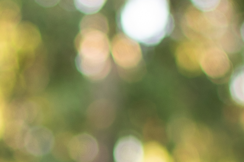 review canon ef 50mm 1.0 l usm 1.0l world's fastest AF autofocus lens contrast resolution 42mp 24mp 61mp analogue contrast bokeh vignetting