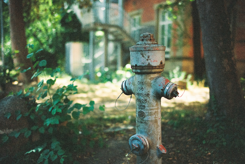 kodak royal supra 400 color negative film germany stuttgart deutschland review nikon f analogue film hexar rf