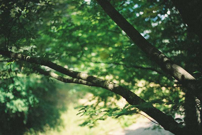 kodak royal supra 400 color negative film germany stuttgart deutschland review nikon f analogue film hexar rf