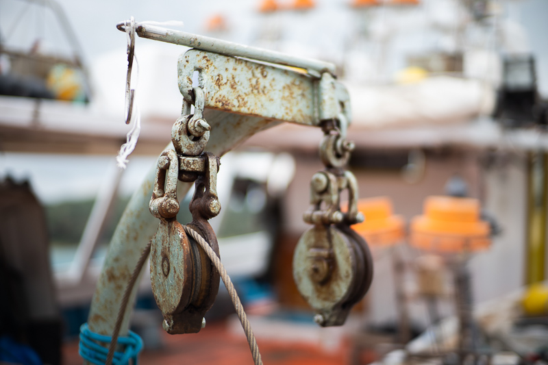 mr. ding optics studio 50mm 1.2 nikon z review m10 42mp 24mp sony a7rii contrast resolution bokeh coma noxlux