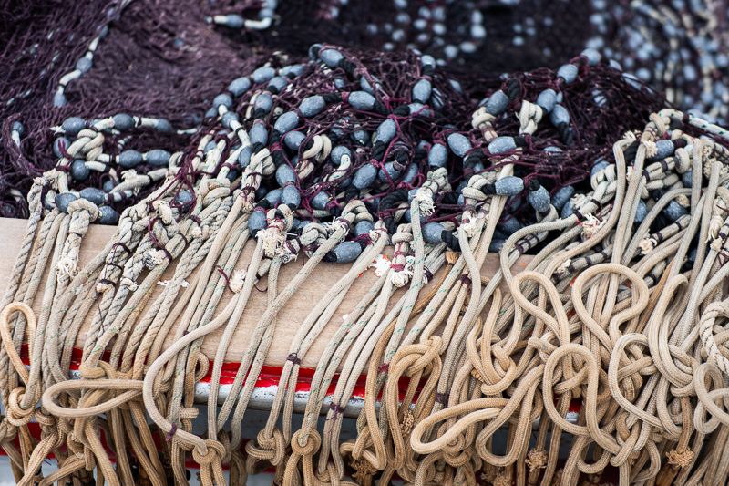 mr. ding optics studio 50mm 1.2 nikon z review m10 42mp 24mp sony a7rii contrast resolution bokeh coma noxlux