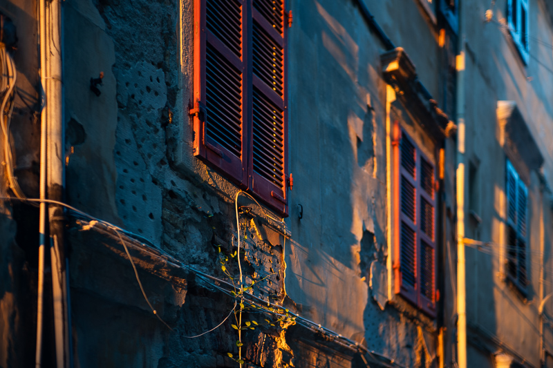 mr. ding optics studio 50mm 1.2 nikon z review m10 42mp 24mp sony a7rii contrast resolution bokeh coma noxlux