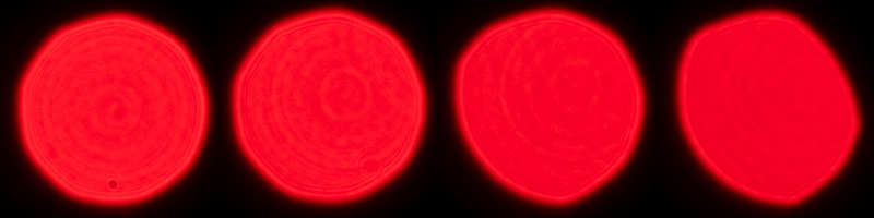 sony fe 70mm-200 4.0 g macro oss mark ii mk 2 sony 42mp 61mp a7rii a7riv a7riii a1 a9iii a7rv review resolution sharpness contrast bokeh vignetting coma